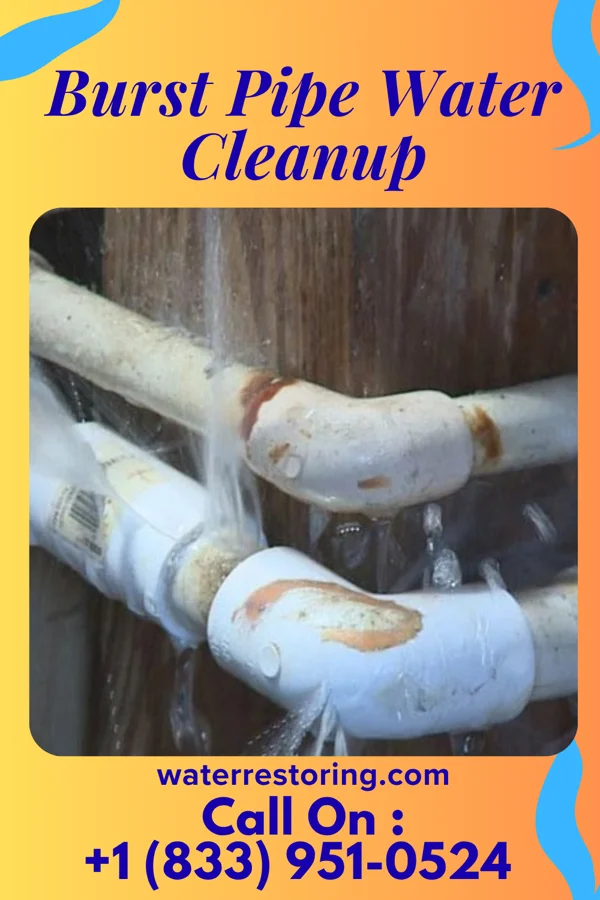 Burst Pipe Water Cleanup in Ashland, NJ