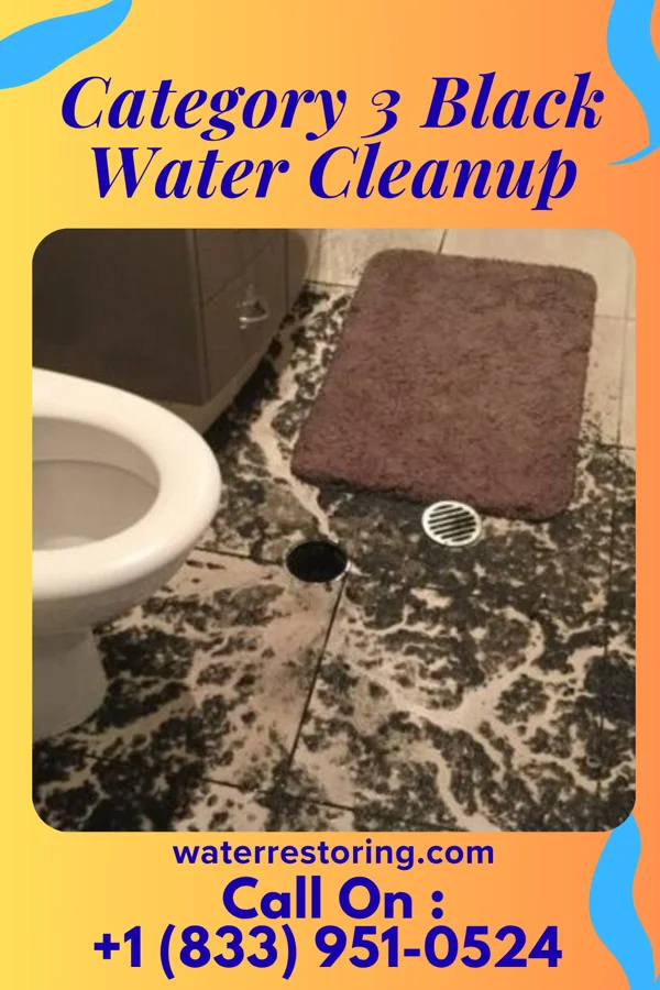 Category 3 Black Water Cleanup in Ashland, NJ
