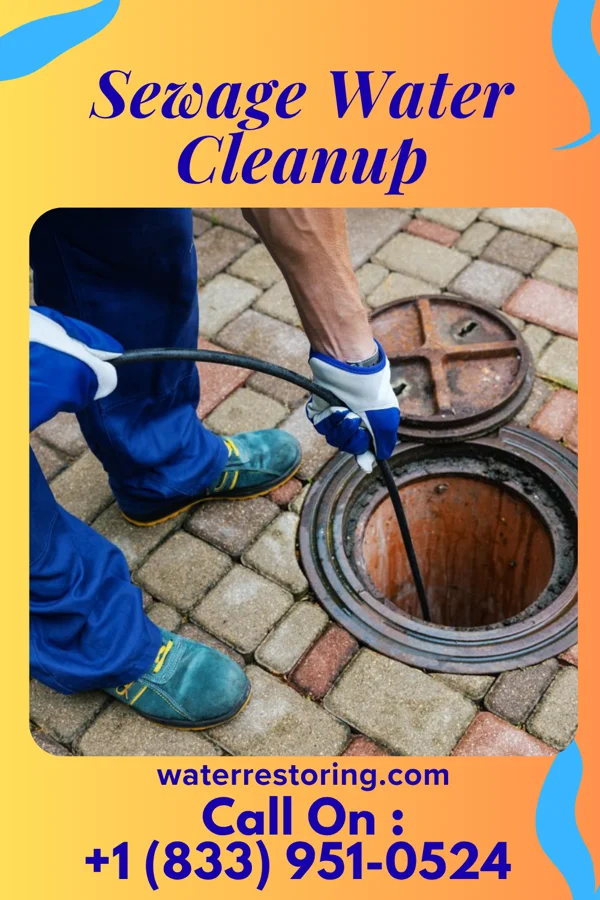 Sewage Water Cleanup in Ashland, NJ