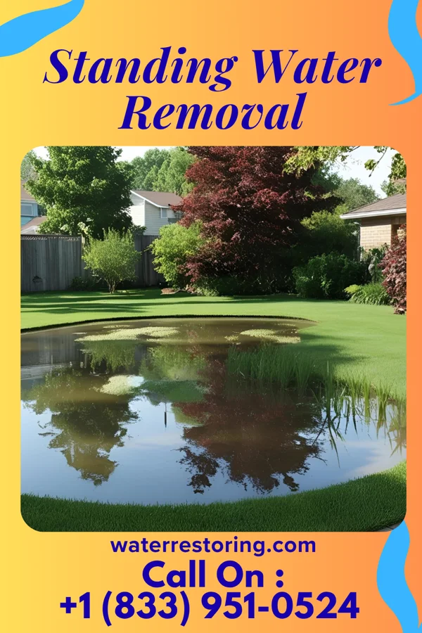 Standing Water Removal in Ashland, NJ